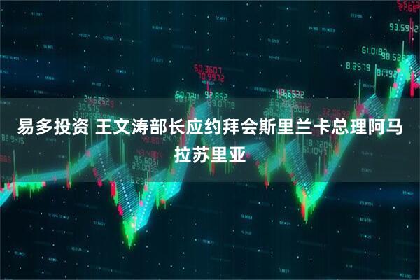 易多投资 王文涛部长应约拜会斯里兰卡总理阿马拉苏里亚