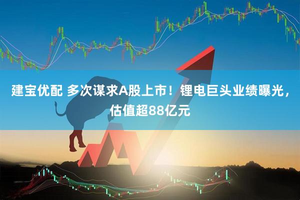 建宝优配 多次谋求A股上市！锂电巨头业绩曝光，估值超88亿元