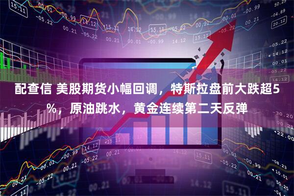 配查信 美股期货小幅回调，特斯拉盘前大跌超5%，原油跳水，黄金连续第二天反弹