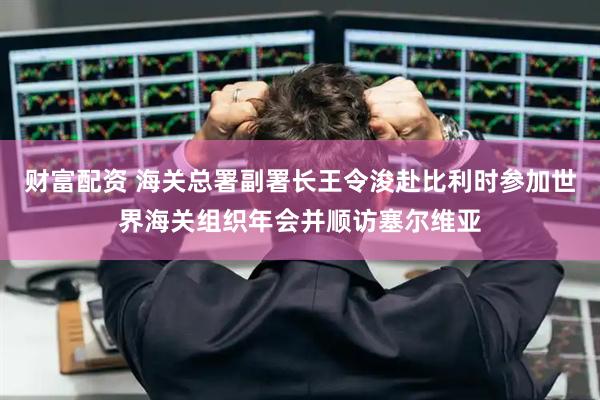 财富配资 海关总署副署长王令浚赴比利时参加世界海关组织年会并顺访塞尔维亚