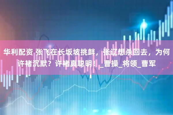 华利配资 张飞在长坂坡挑衅，张辽想杀回去，为何许褚沉默？许褚真聪明！_曹操_将领_曹军