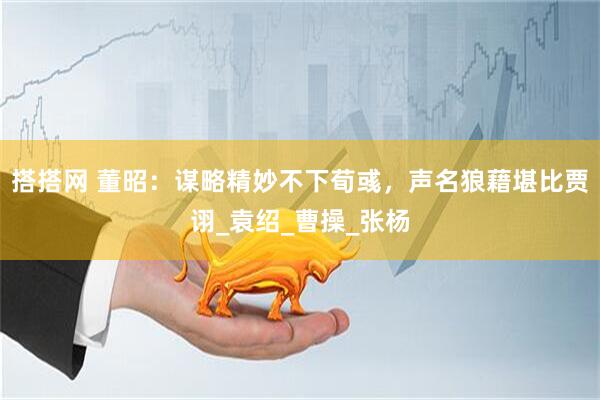搭搭网 董昭：谋略精妙不下荀彧，声名狼藉堪比贾诩_袁绍_曹操_张杨