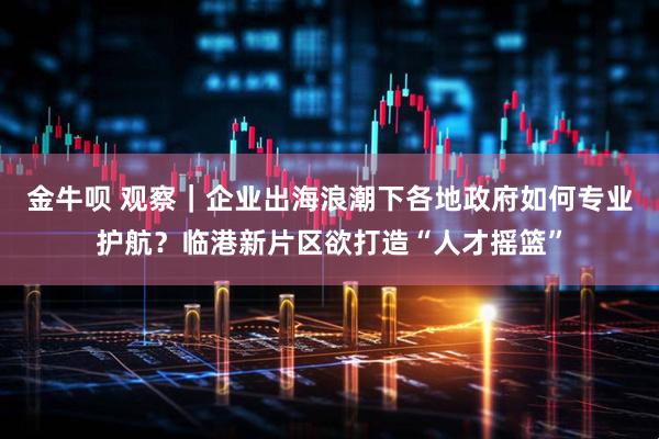 金牛呗 观察｜企业出海浪潮下各地政府如何专业护航？临港新片区欲打造“人才摇篮”