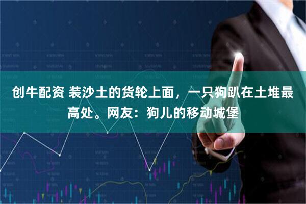 创牛配资 装沙土的货轮上面,一只狗趴在土堆最高处。网友:狗儿的移动城堡